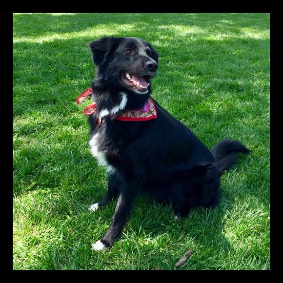 Meet your Posher, Martha - Picture 3 of 3